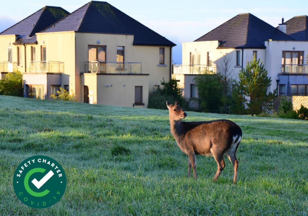 Waterford Castle Hotel Lodges