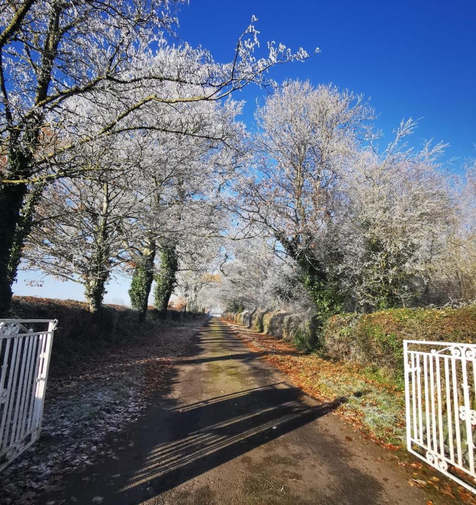 Knockreagh Farm Cottages