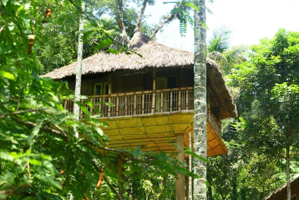 Kalidasa Tree House and Villa, Wayanad