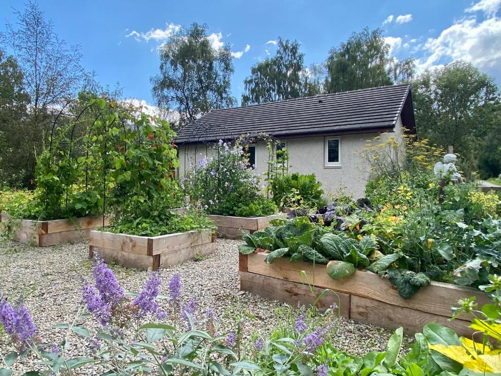 Homestead Cottage, Fort Augustus