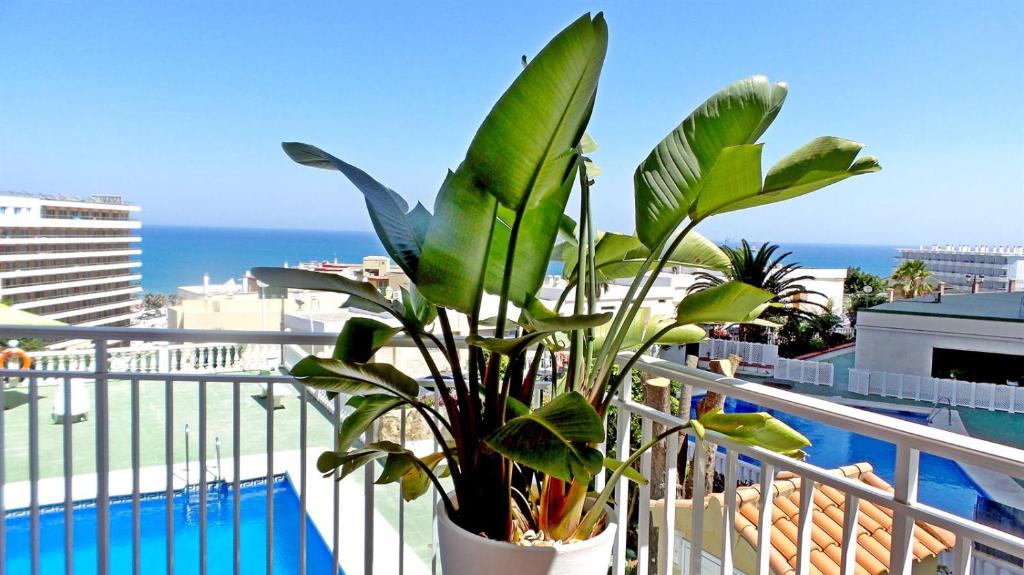 Sea Views and big balcony