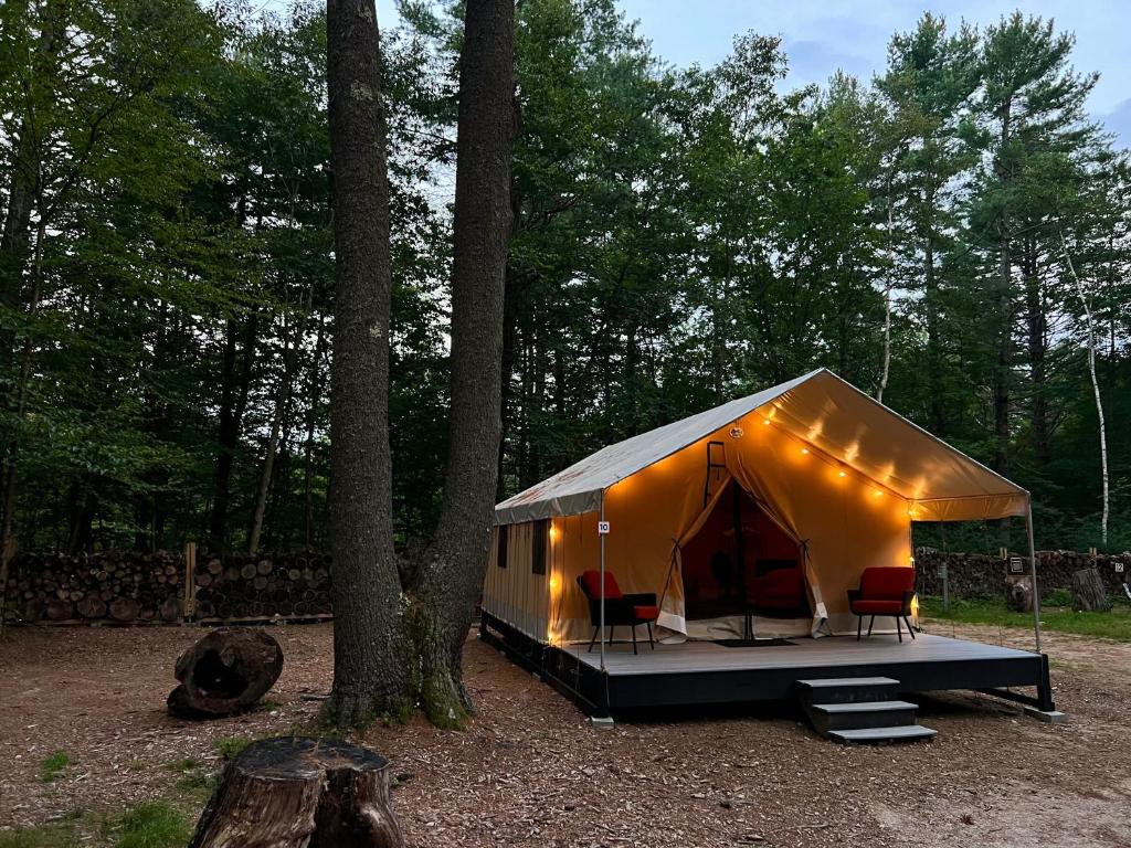 Large luxurious glamping tent - 10